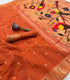 Soft Muga Cotton  orange   colour with painted parrots  on pallu
